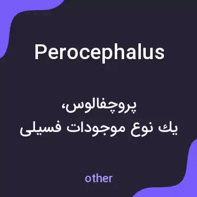 معنی perocephalus به فارسی معنی perocephalus به فارسی
