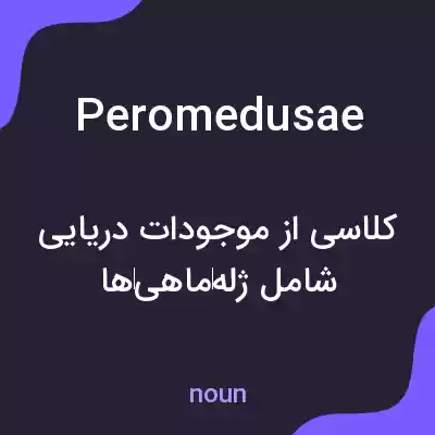 معنی peromedusae به فارسی