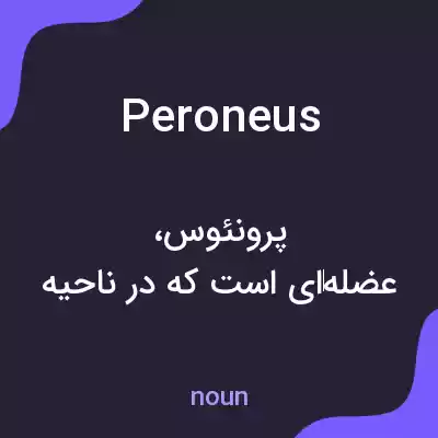 معنی peroneus به فارسی معنی peroneus به فارسی