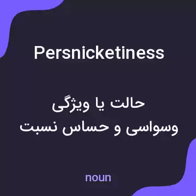معنی persnicketiness به فارسی