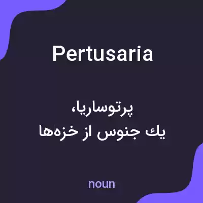 معنی pertusaria به فارسی معنی pertusaria به فارسی