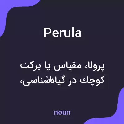 معنی perula به فارسی معنی perula به فارسی