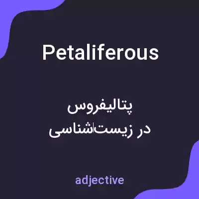 معنی petaliferous به فارسی معنی petaliferous به فارسی