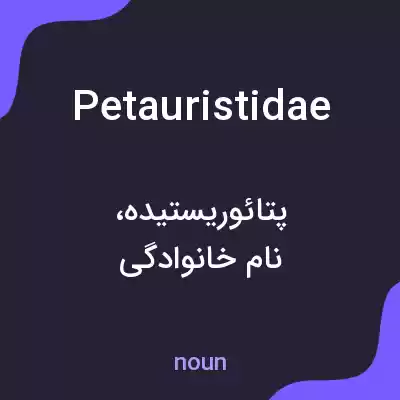 معنی petauristidae به فارسی