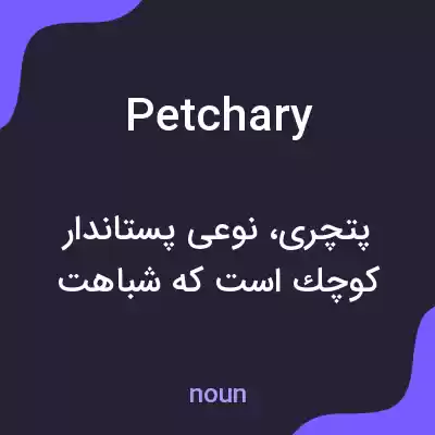 معنی petchary به فارسی معنی petchary به فارسی
