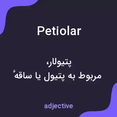 معنی petiolar به فارسی معنی petiolar به فارسی
