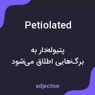 معنی petiolated به فارسی معنی petiolated به فارسی