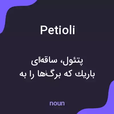 معنی petioli به فارسی معنی petioli به فارسی