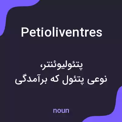 معنی petioliventres به فارسی معنی petioliventres به فارسی