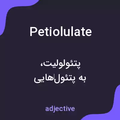 معنی petiolulate به فارسی معنی petiolulate به فارسی