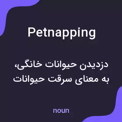معنی petnapping به فارسی معنی petnapping به فارسی