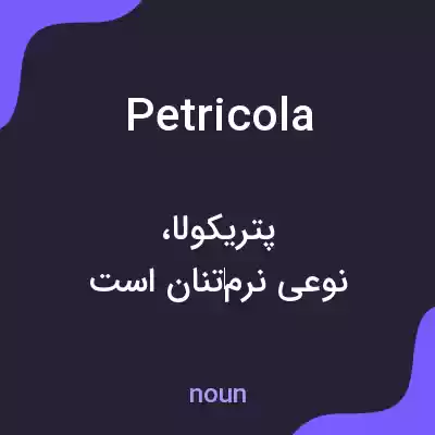 معنی petricola به فارسی