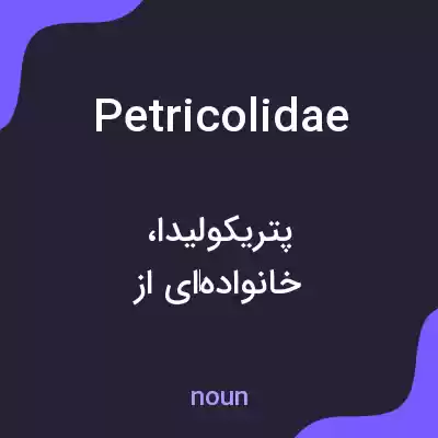 معنی petricolidae به فارسی معنی petricolidae به فارسی