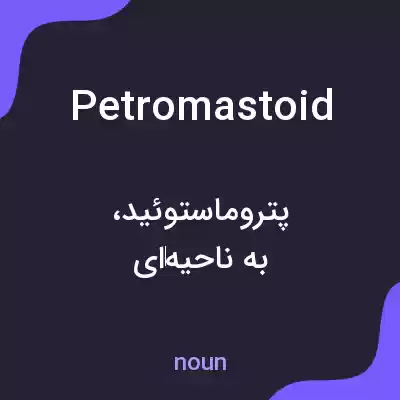 معنی petromastoid به فارسی معنی petromastoid به فارسی