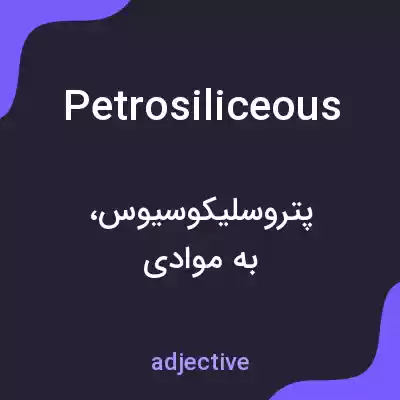 معنی petrosiliceous به فارسی معنی petrosiliceous به فارسی