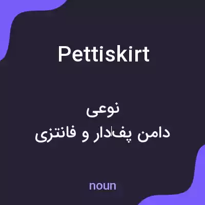 معنی pettiskirt به فارسی معنی pettiskirt به فارسی
