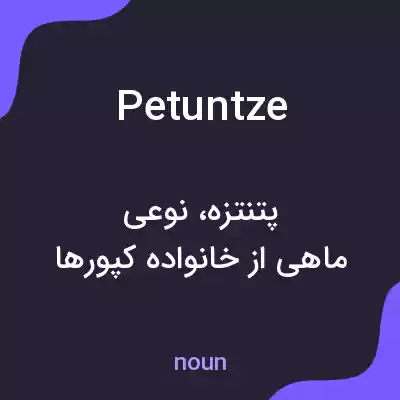 معنی petuntze به فارسی معنی petuntze به فارسی