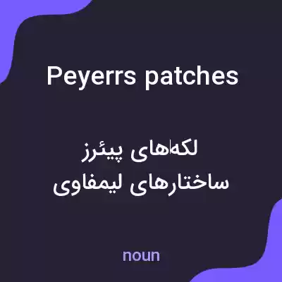 معنی peyerrs patches به فارسی معنی peyerrs patches به فارسی
