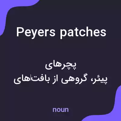 معنی peyers patches به فارسی معنی peyers patches به فارسی
