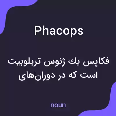 معنی phacops به فارسی