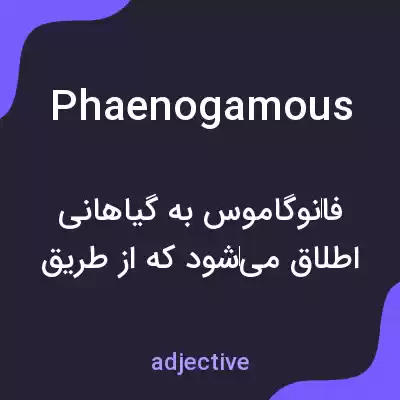 معنی phaenogamous به فارسی معنی phaenogamous به فارسی