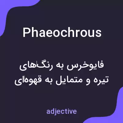 معنی phaeochrous به فارسی معنی phaeochrous به فارسی