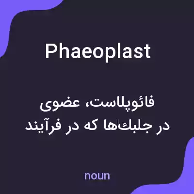 معنی phaeoplast به فارسی معنی phaeoplast به فارسی