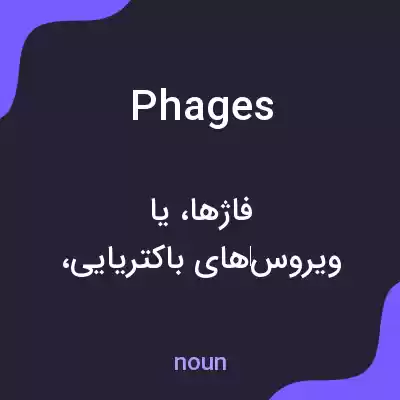 معنی phages به فارسی