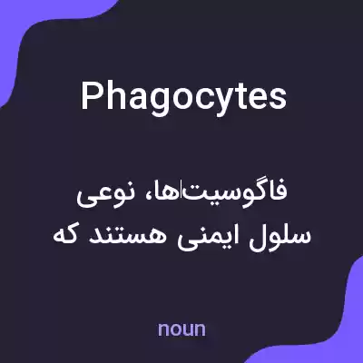 معنی phagocytes به فارسی معنی phagocytes به فارسی