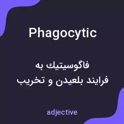 معنی phagocytic به فارسی معنی phagocytic به فارسی