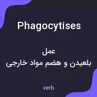 معنی phagocytises به فارسی معنی phagocytises به فارسی
