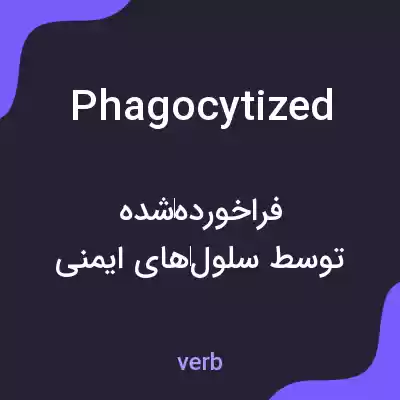 معنی phagocytized به فارسی