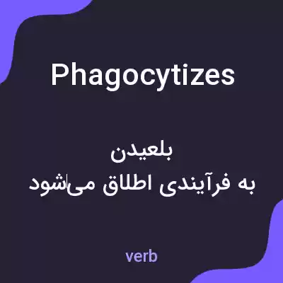 معنی phagocytizes به فارسی معنی phagocytizes به فارسی