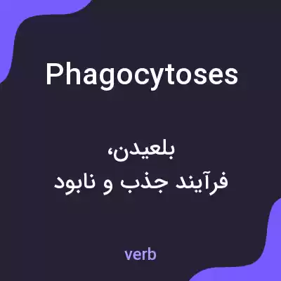 معنی phagocytoses به فارسی معنی phagocytoses به فارسی