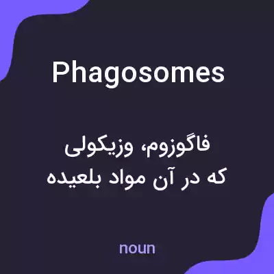 معنی phagosomes به فارسی معنی phagosomes به فارسی