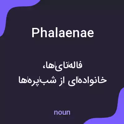معنی phalaenae به فارسی معنی phalaenae به فارسی