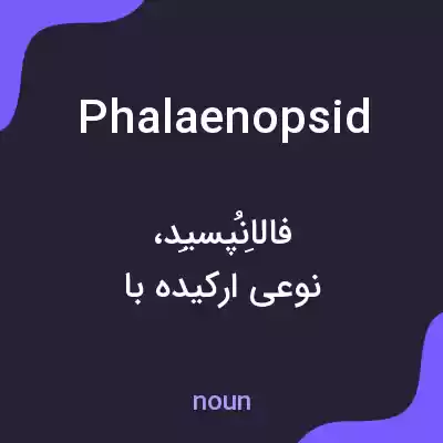 معنی phalaenopsid به فارسی معنی phalaenopsid به فارسی