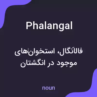 معنی phalangal به فارسی معنی phalangal به فارسی
