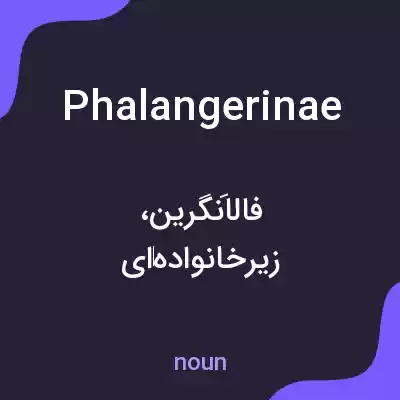 معنی phalangerinae به فارسی معنی phalangerinae به فارسی