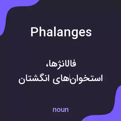معنی phalanges به فارسی معنی phalanges به فارسی