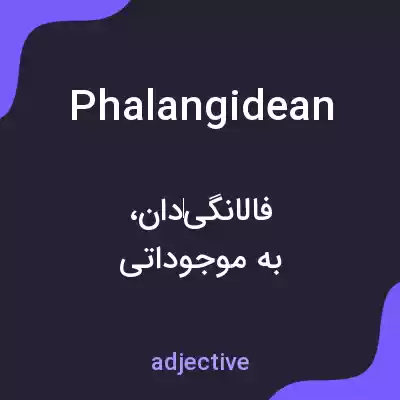 معنی phalangidean به فارسی معنی phalangidean به فارسی
