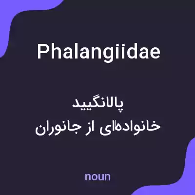معنی phalangiidae به فارسی معنی phalangiidae به فارسی