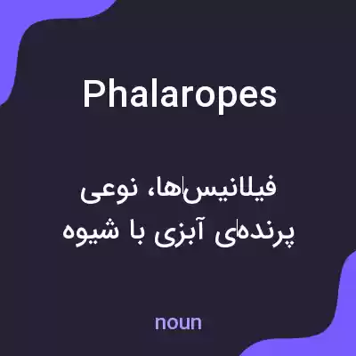 معنی phalaropes به فارسی معنی phalaropes به فارسی