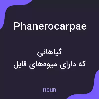 معنی phanerocarpae به فارسی معنی phanerocarpae به فارسی
