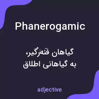 معنی phanerogamic به فارسی معنی phanerogamic به فارسی