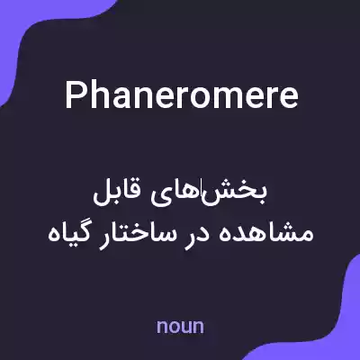 معنی phaneromere به فارسی معنی phaneromere به فارسی