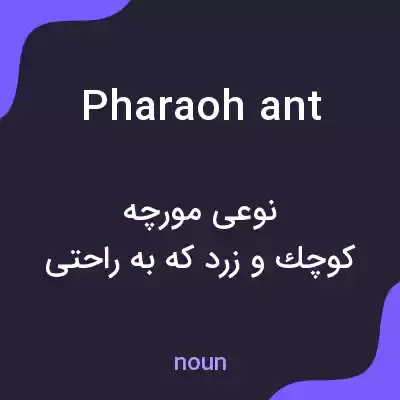 معنی pharaoh ant به فارسی معنی pharaoh ant به فارسی