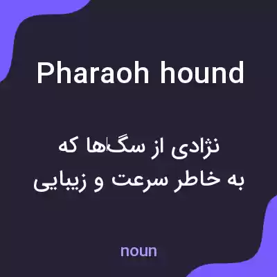 معنی pharaoh hound به فارسی معنی pharaoh hound به فارسی