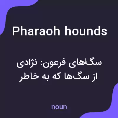 معنی pharaoh hounds به فارسی معنی pharaoh hounds به فارسی