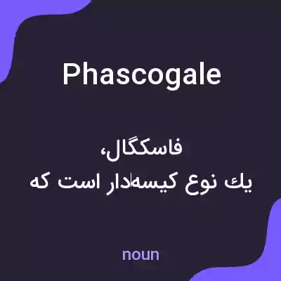 معنی phascogale به فارسی معنی phascogale به فارسی